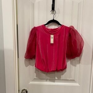 Anthropologie Pink Puff Sleeve Blouse